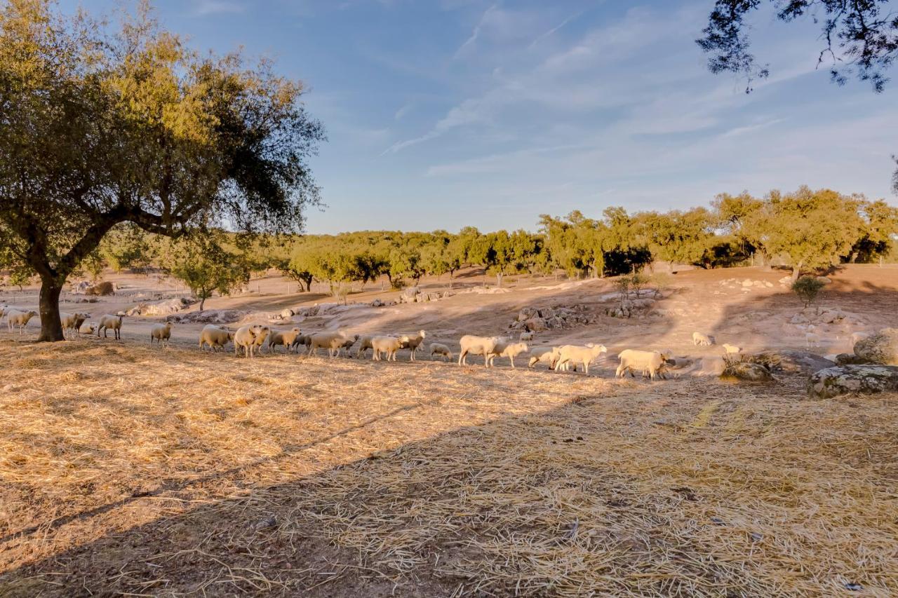 Monte Da Lapa Bed and Breakfast Arraiolos Εξωτερικό φωτογραφία